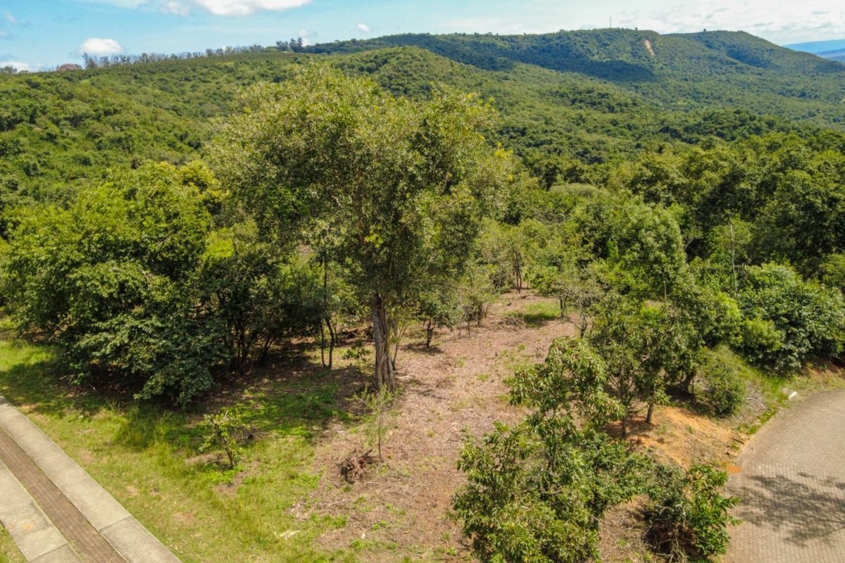 Aerial view of a vacant residential plot featuring mature trees, sloped topography, and adjacent paved road access in a scenic natural setting.