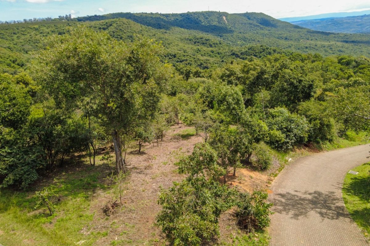 BUILD YOUR DREAM HOME NEAR KRUGER NATIONAL PARK - Photo 5