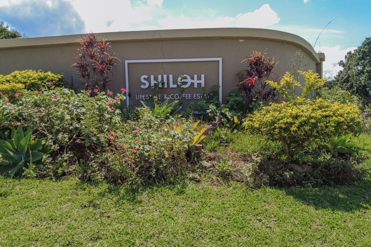 BUILD YOUR DREAM HOME NEAR KRUGER NATIONAL PARK - Photo 2