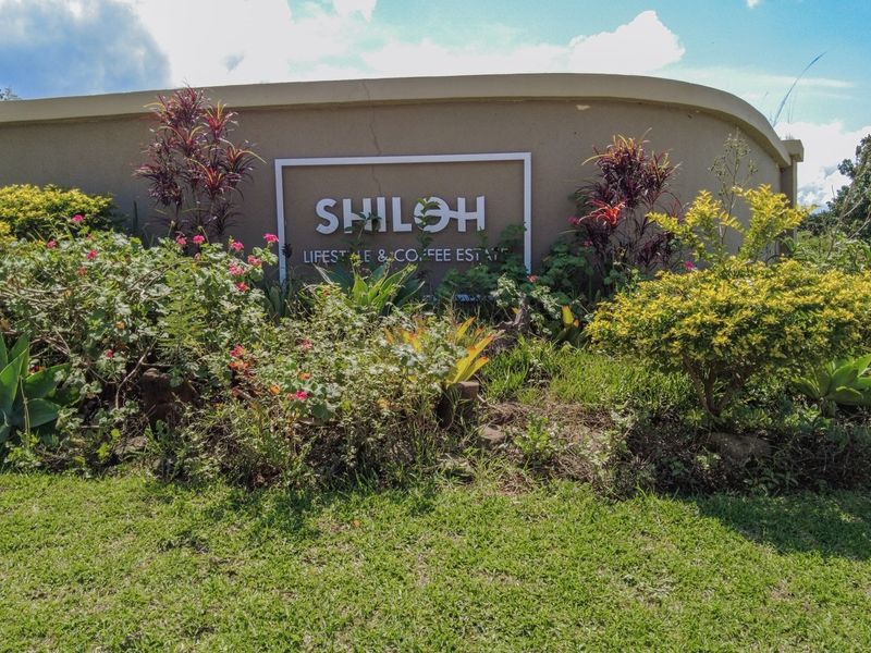 BUILD YOUR DREAM HOME NEAR KRUGER NATIONAL PARK - Photo 2