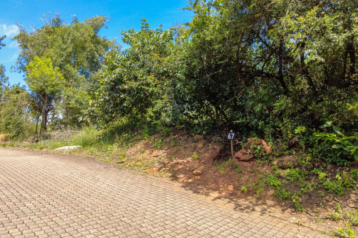 BUILD YOUR DREAM HOME NEAR KRUGER NATIONAL PARK - Photo 4