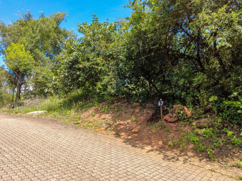 BUILD YOUR DREAM HOME NEAR KRUGER NATIONAL PARK - Photo 4