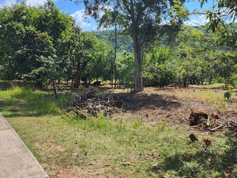 BUILD YOUR DREAM HOME NEAR KRUGER NATIONAL PARK - Photo 10