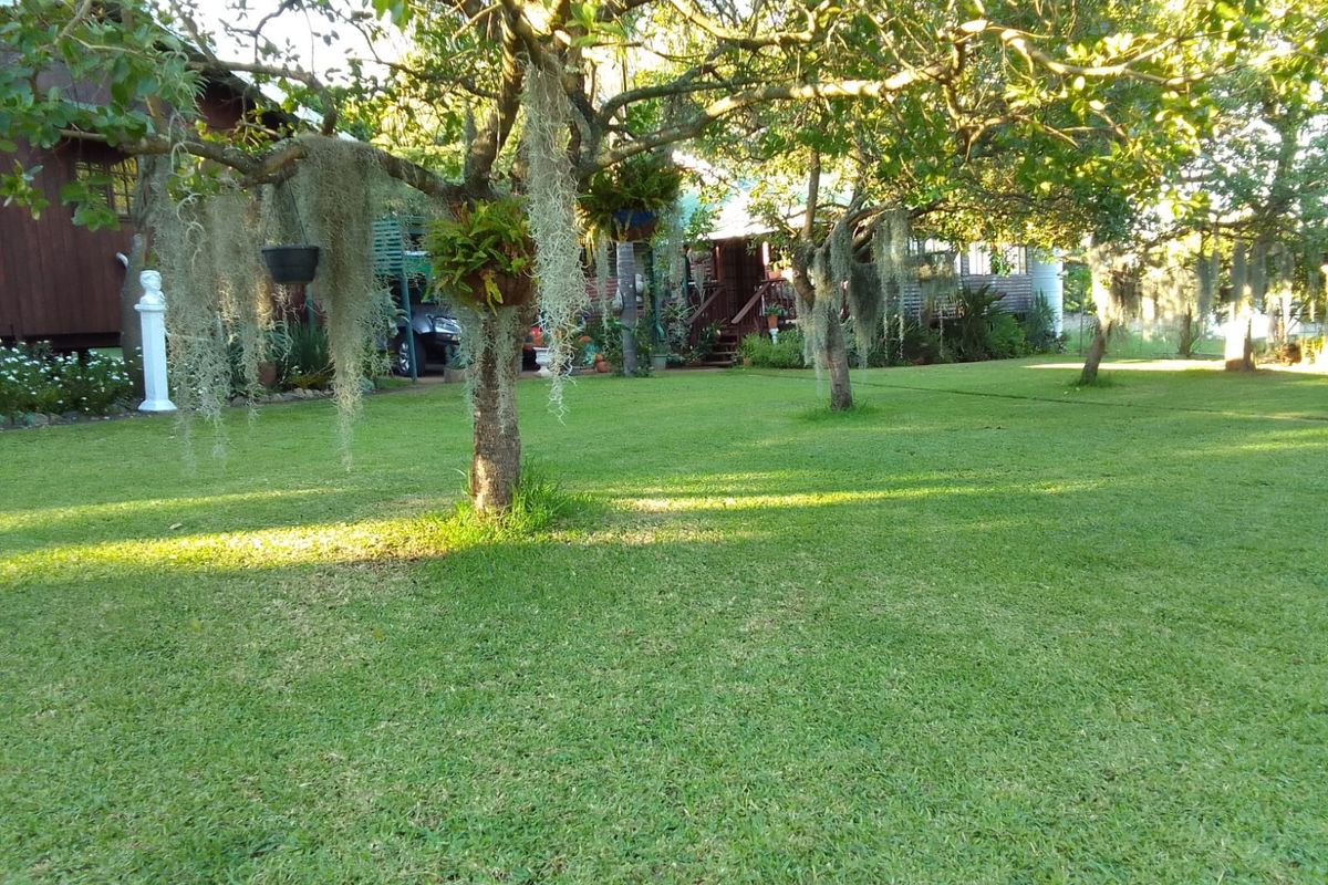 For the green thumbs, a flourishing vegetable garden promises fresh produce from your land. - Photo 2