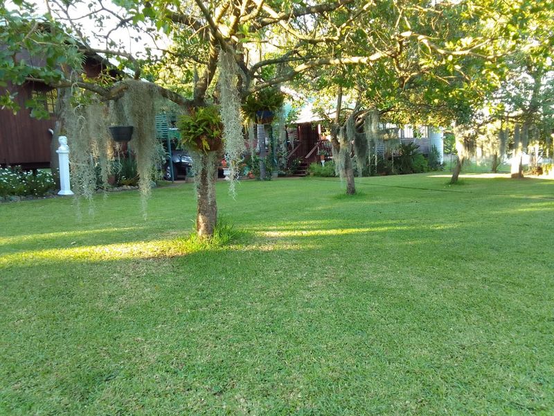 For the green thumbs, a flourishing vegetable garden promises fresh produce from your land. - Photo 2