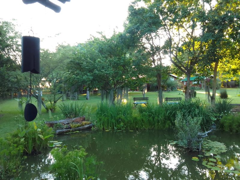 A serene garden view featuring a natural pond with aquatic plants, surrounded by mature trees and a well-maintained lawn on the small holding.