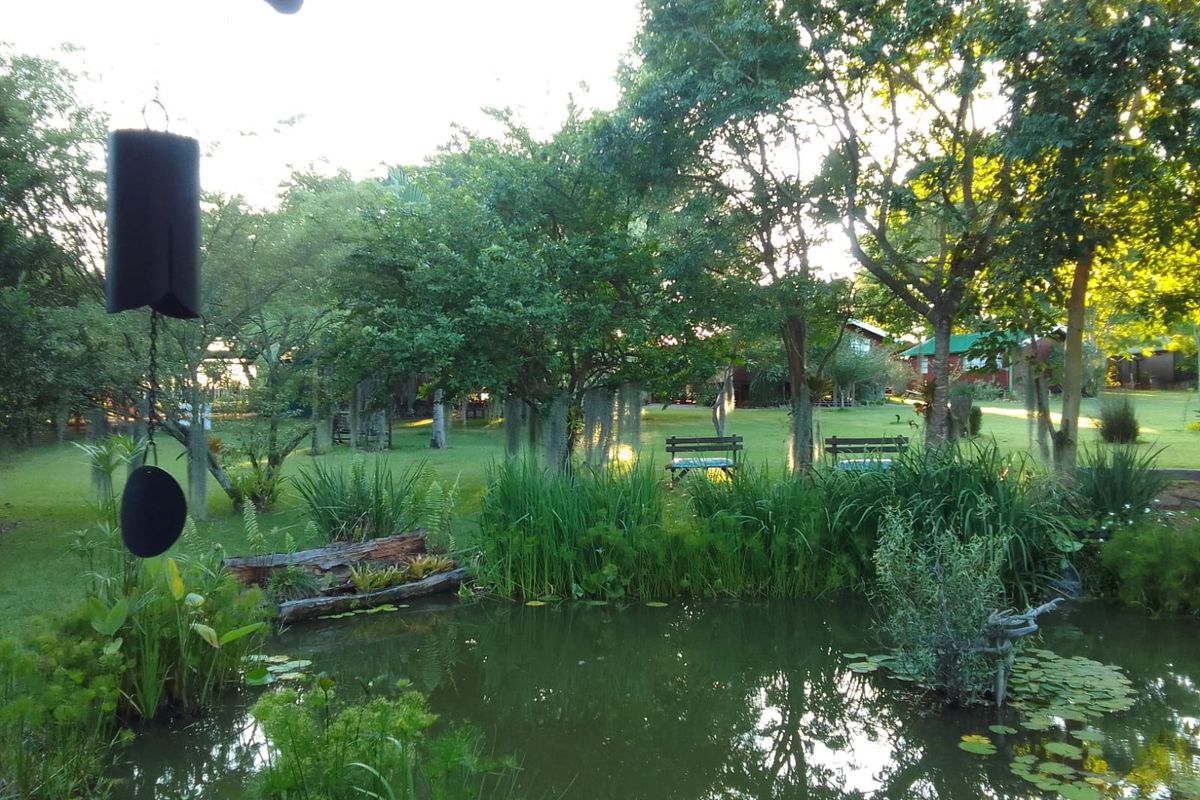 A serene garden view featuring a natural pond with aquatic plants, surrounded by mature trees and a well-maintained lawn on the small holding.
