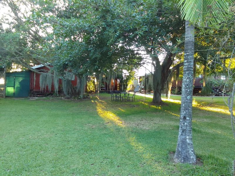 For the green thumbs, a flourishing vegetable garden promises fresh produce from your land. - Photo 9