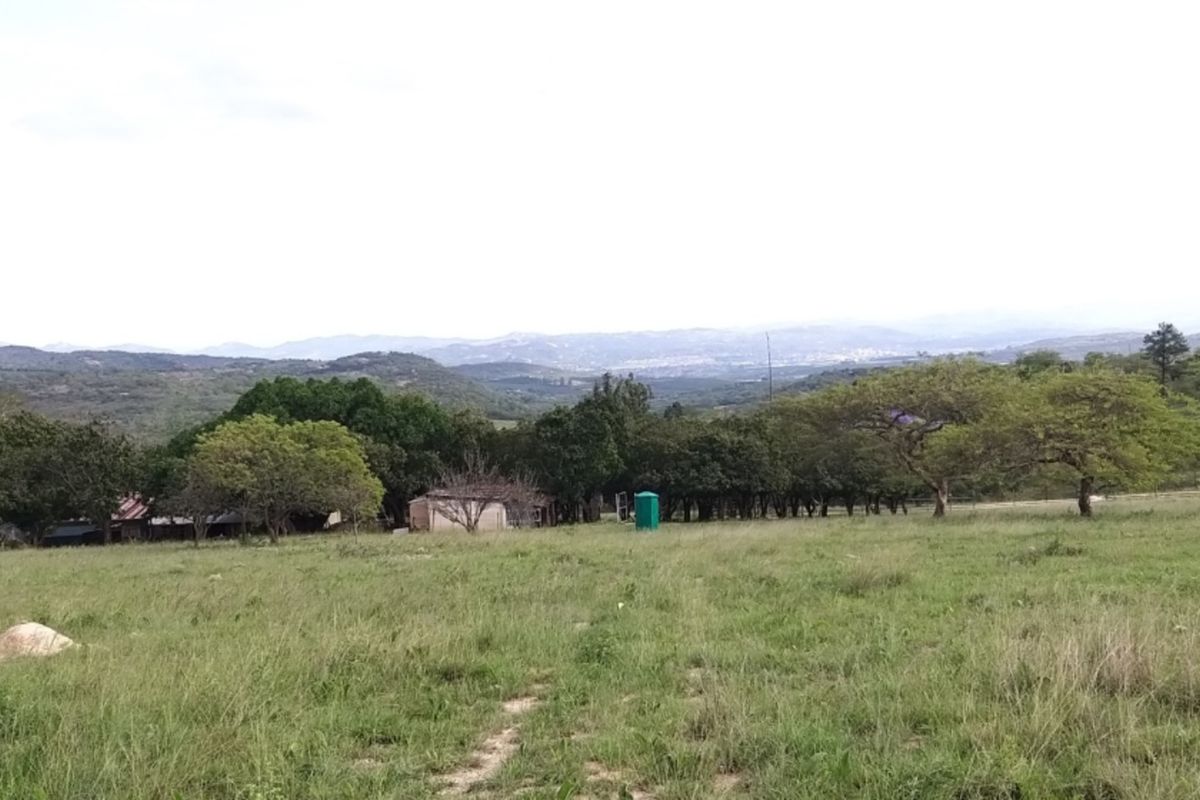 SMALLHOLDING WITH FOUR HOUSES ON A GREAT PIECE OF LAND JUST OUTSIDE OF TOWN - Photo 4