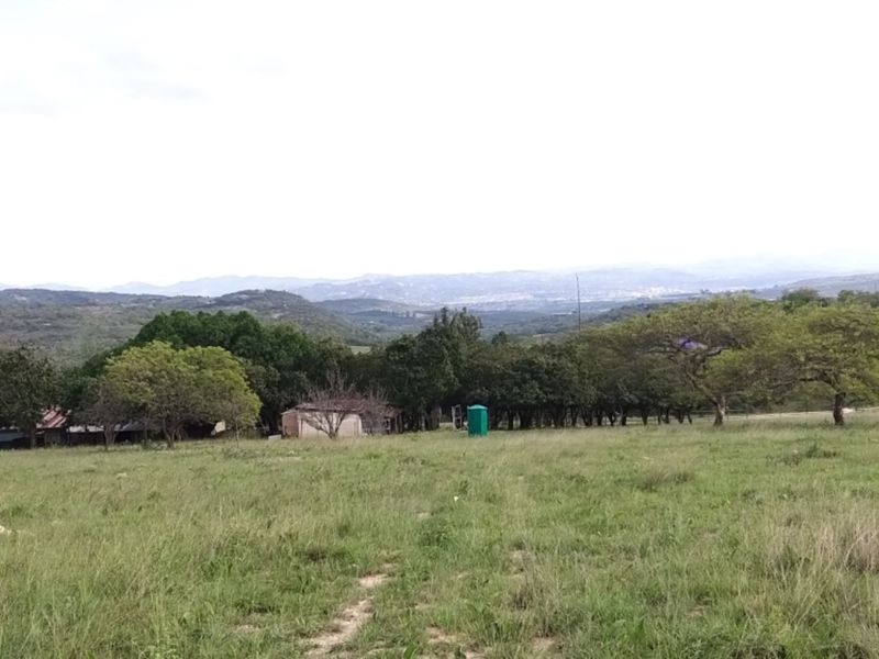 SMALLHOLDING WITH FOUR HOUSES ON A GREAT PIECE OF LAND JUST OUTSIDE OF TOWN - Photo 4