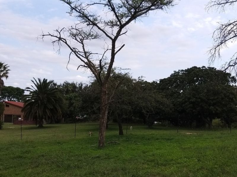 SMALLHOLDING WITH FOUR HOUSES ON A GREAT PIECE OF LAND JUST OUTSIDE OF TOWN - Photo 10