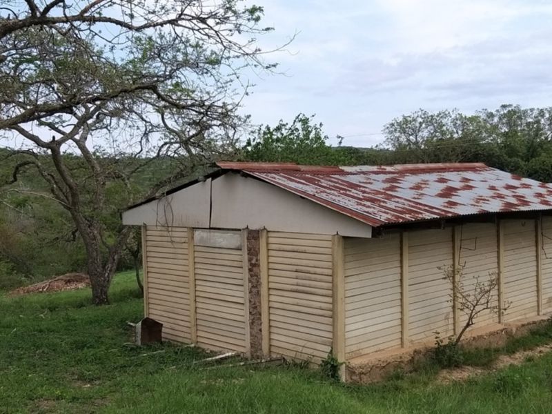 SMALLHOLDING WITH FOUR HOUSES ON A GREAT PIECE OF LAND JUST OUTSIDE OF TOWN - Photo 9