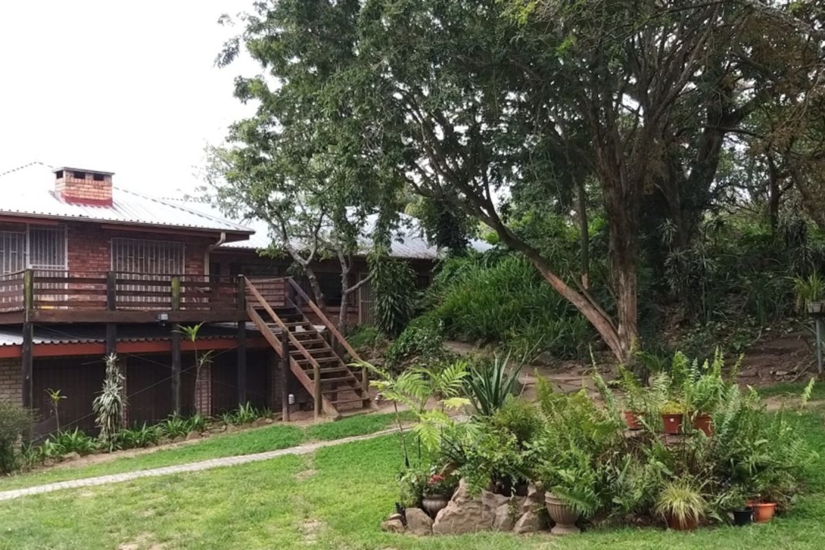 SMALLHOLDING WITH FOUR HOUSES ON A GREAT PIECE OF LAND JUST OUTSIDE OF TOWN - Photo 3