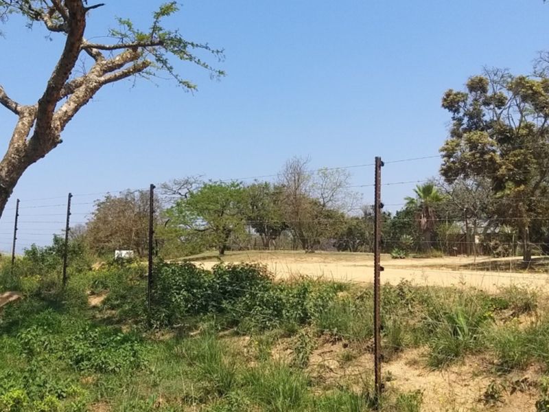 SMALLHOLDING WITH FOUR HOUSES ON A GREAT PIECE OF LAND JUST OUTSIDE OF TOWN - Photo 8