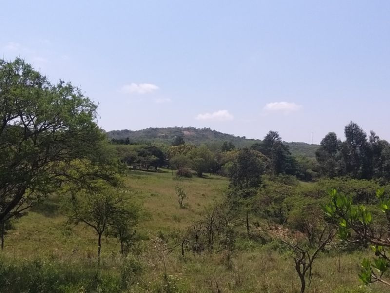 SMALLHOLDING WITH FOUR HOUSES ON A GREAT PIECE OF LAND JUST OUTSIDE OF TOWN - Photo 7