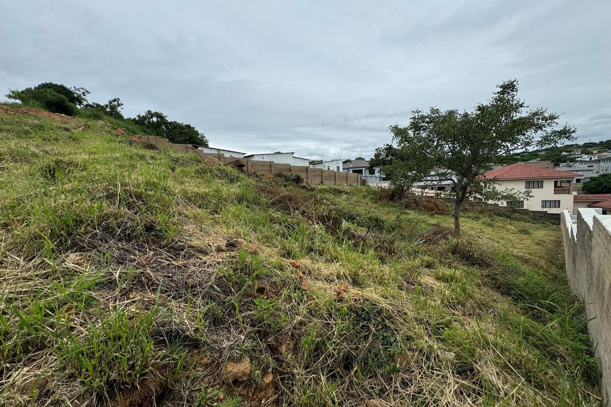 A sloped residential vacant plot featuring natural grass cover and existing boundary walls in a developed neighborhood setting.