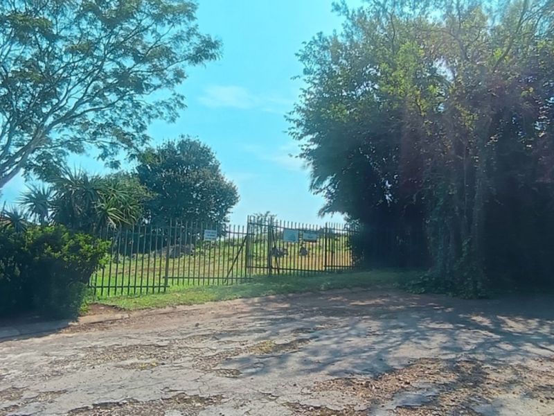 A view of the vacant residential plot entrance featuring metal perimeter fencing, mature trees, and direct access from the paved street.