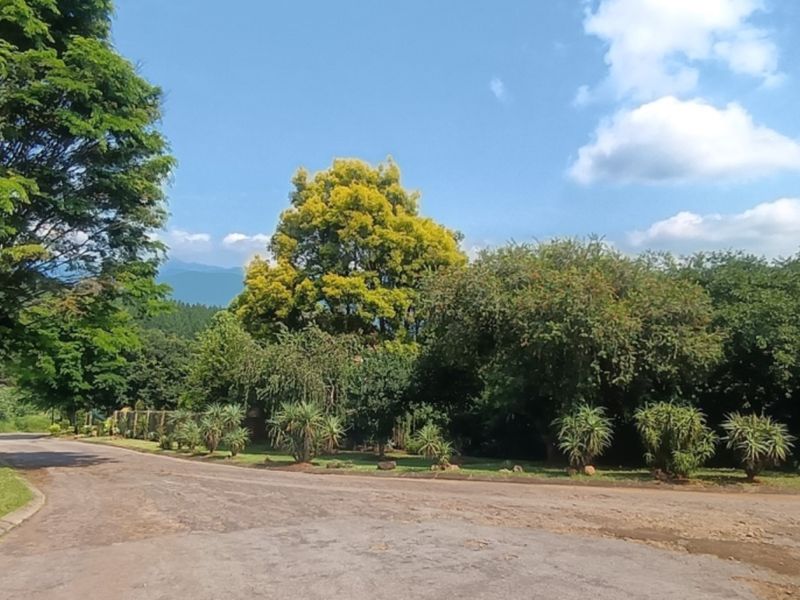 A view of the street approach featuring a paved road lined with mature trees and established landscaping in a residential area.