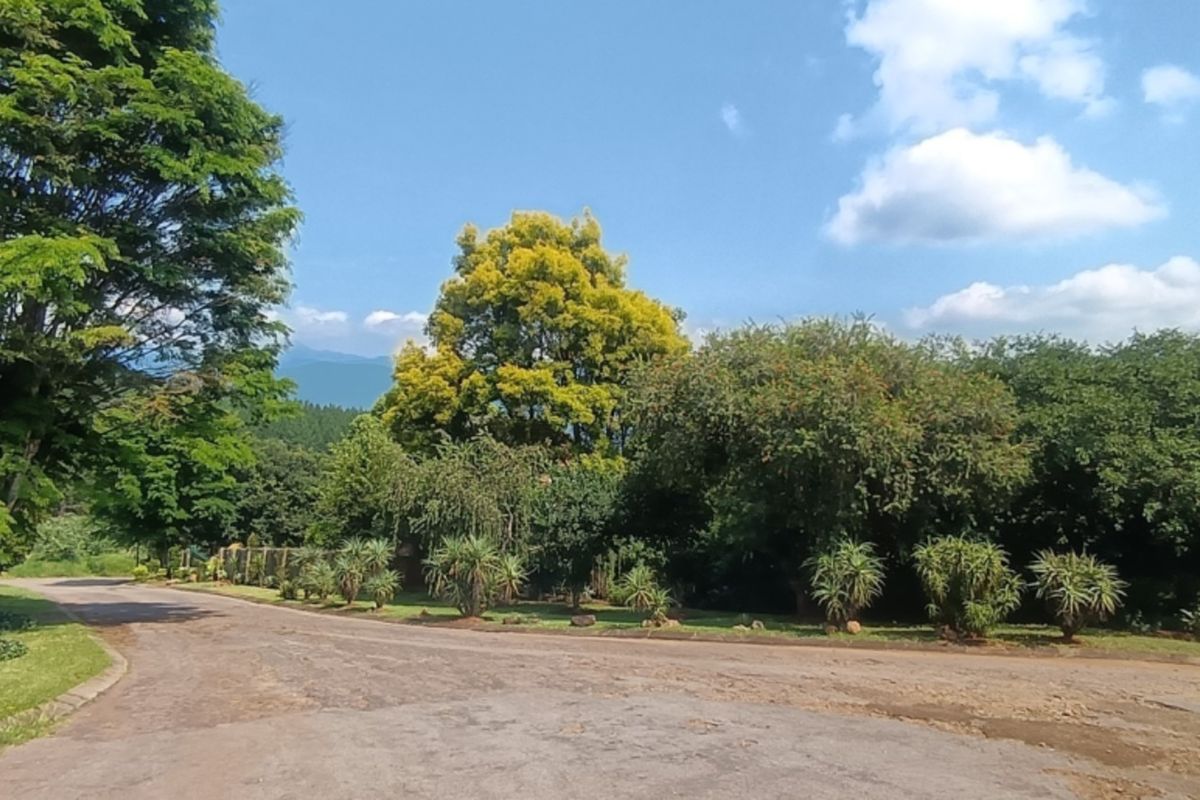 A view of the street approach featuring a paved road lined with mature trees and established landscaping in a residential area.