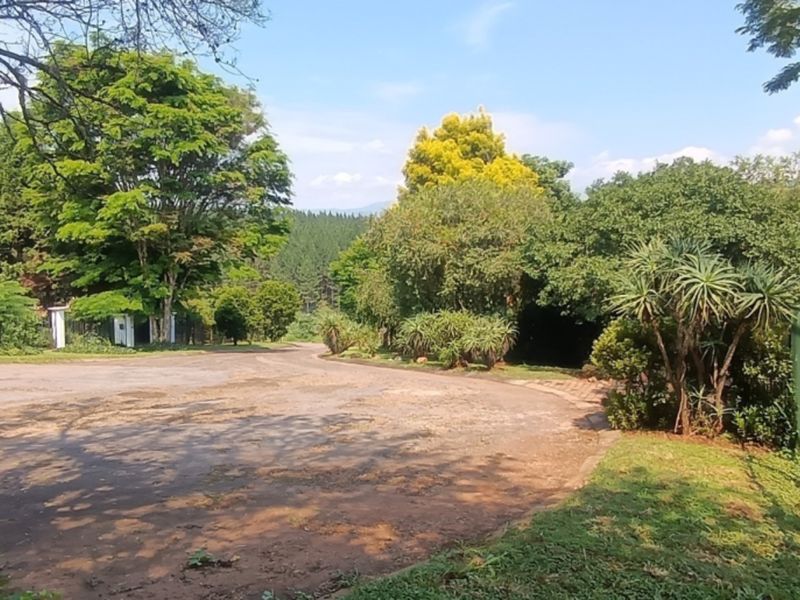 A spacious, tree-lined residential plot featuring a paved driveway, established garden landscaping, and secure metal perimeter fencing.