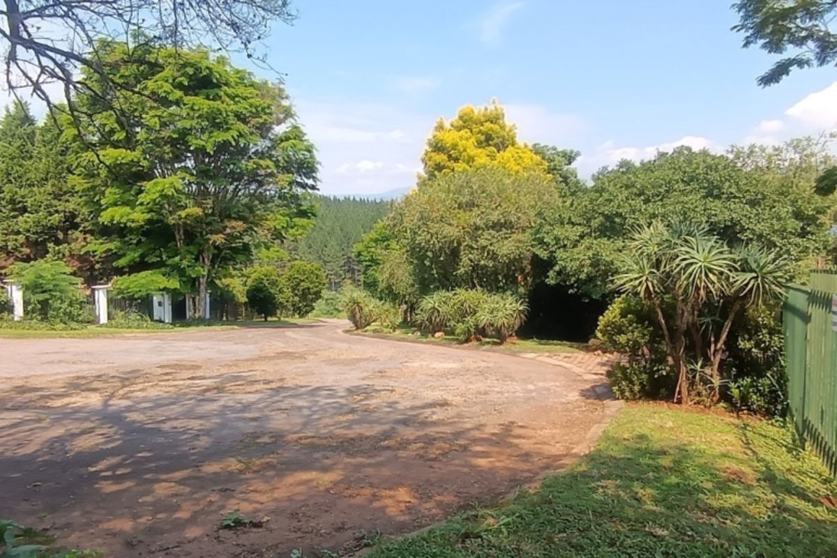 A spacious, tree-lined residential plot featuring a paved driveway, established garden landscaping, and secure metal perimeter fencing.