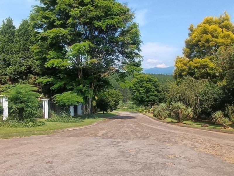 A view of the residential street approach featuring an asphalt driveway, established trees, and perimeter fencing on a vacant residential property.