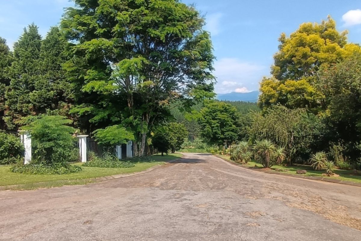 A view of the residential street approach featuring an asphalt driveway, established trees, and perimeter fencing on a vacant residential property.