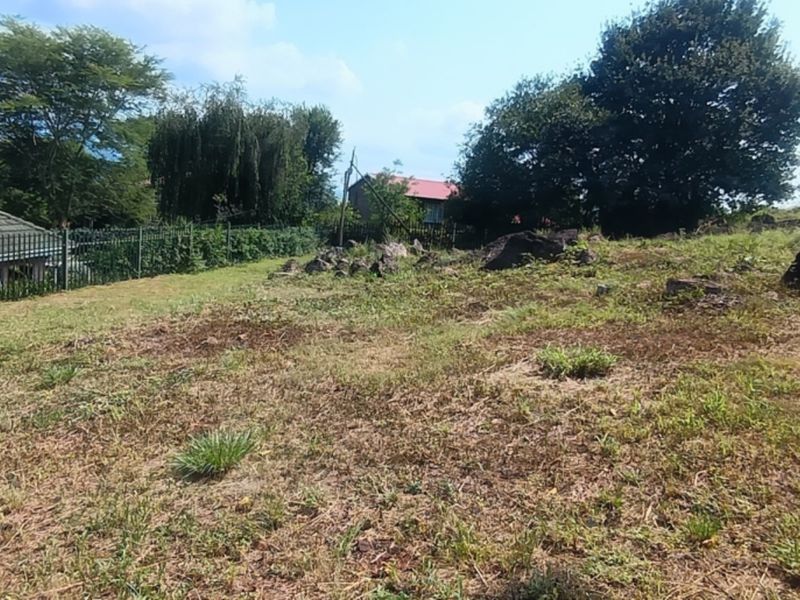 A view of a vacant residential plot featuring natural rock formations, mature trees, and perimeter fencing.