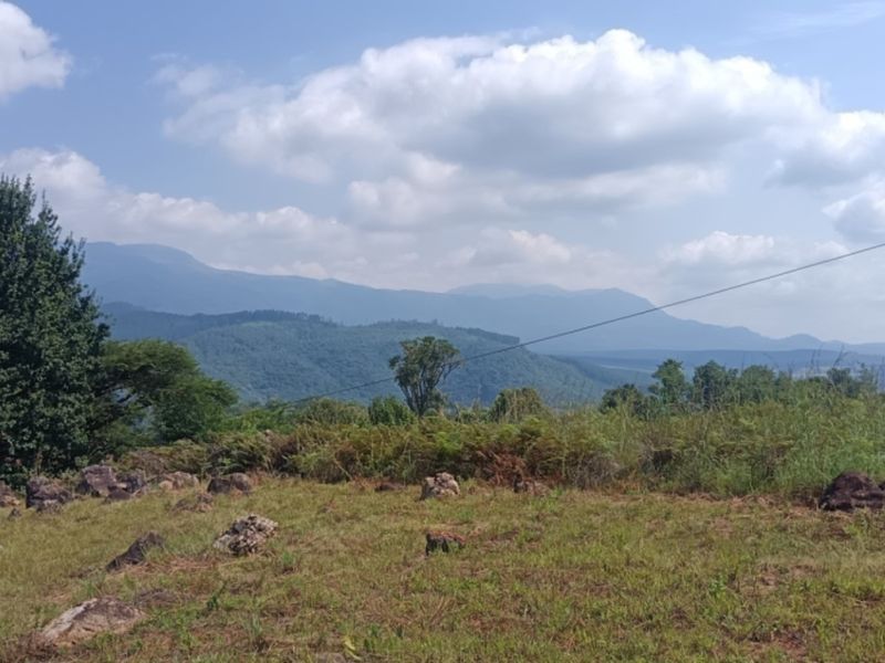 SABIE VACANT LAND WITH AN UNFORGETTABLE VIEW OVER THE MOUNTAINS - Photo 6