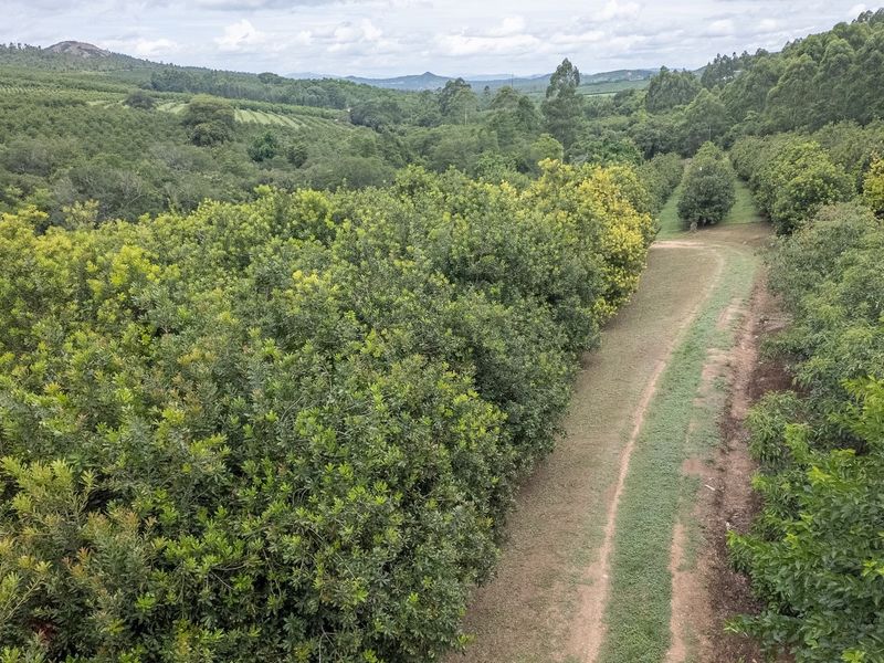 An aerial view of the small holding showcasing extensive orchards and a natural dirt track winding through the landscape.