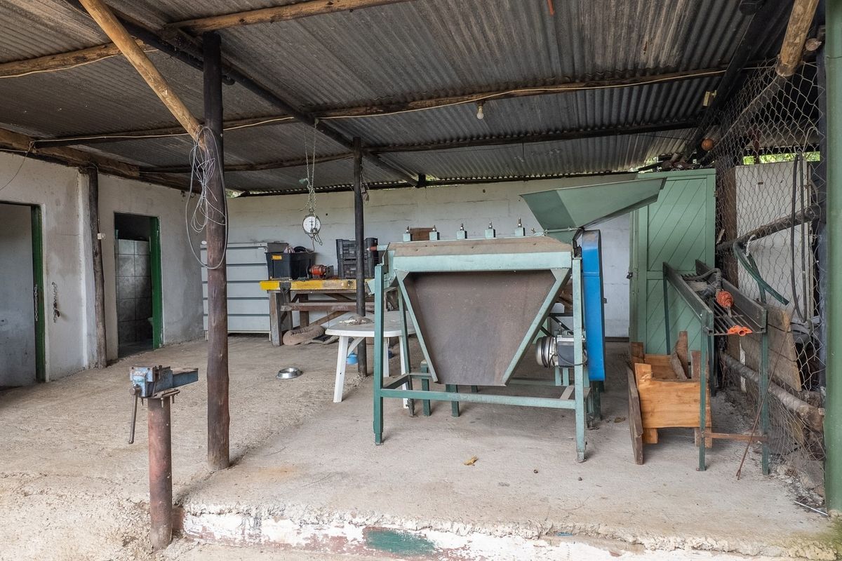 A functional outdoor utility or workshop area featuring a corrugated iron roof, concrete flooring, and fixed industrial equipment suitable for small holding operations.