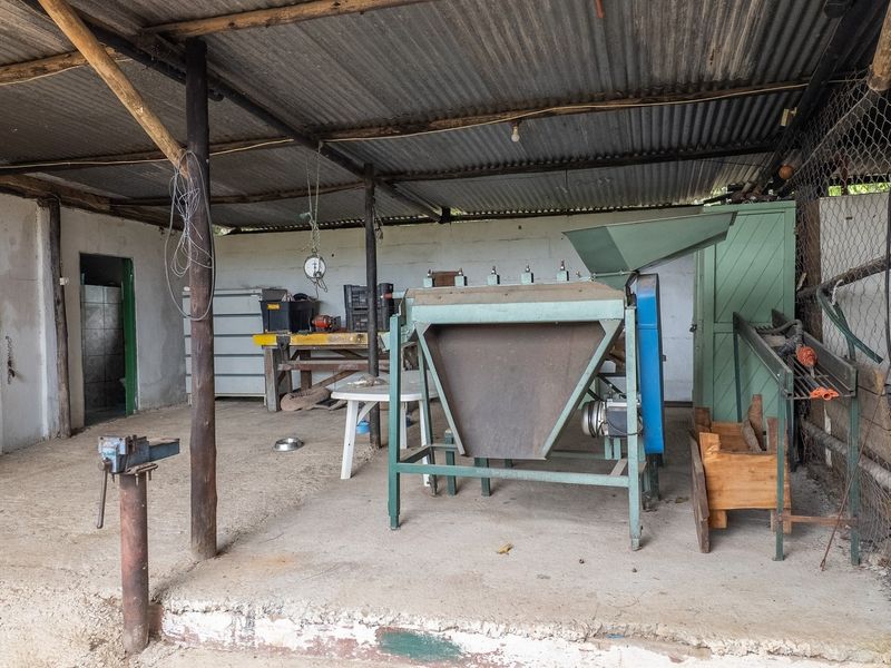 A functional outdoor utility or workshop area featuring a corrugated iron roof, concrete flooring, and fixed industrial equipment suitable for small holding operations.