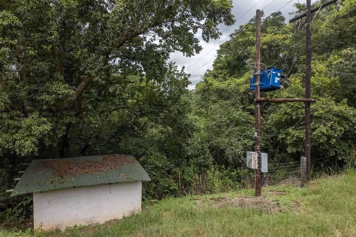 A small outbuilding with a corrugated metal roof situated near a utility pole with an electrical transformer in a wooded area.