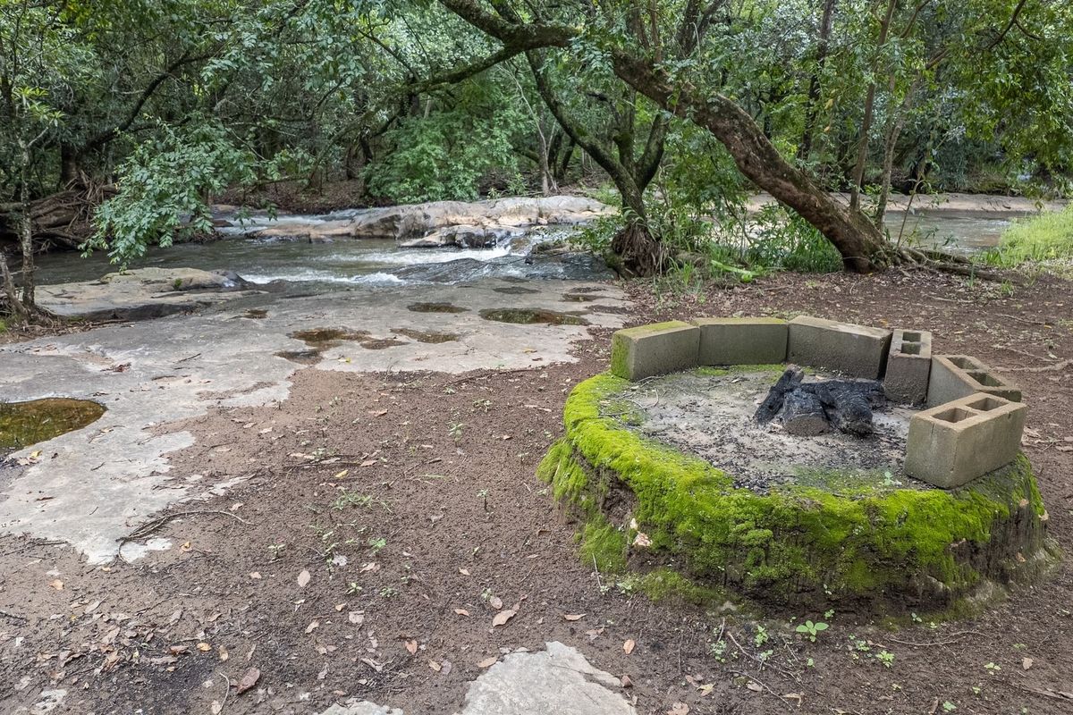 A natural garden setting featuring a flowing stream, rocky riverbed, and a rustic concrete block fire pit area.