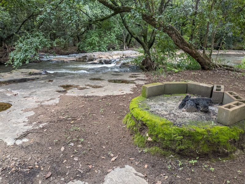A natural garden setting featuring a flowing stream, rocky riverbed, and a rustic concrete block fire pit area.
