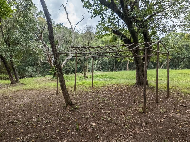 A natural garden area on the small holding featuring mature trees and a basic wooden pole structure frame.