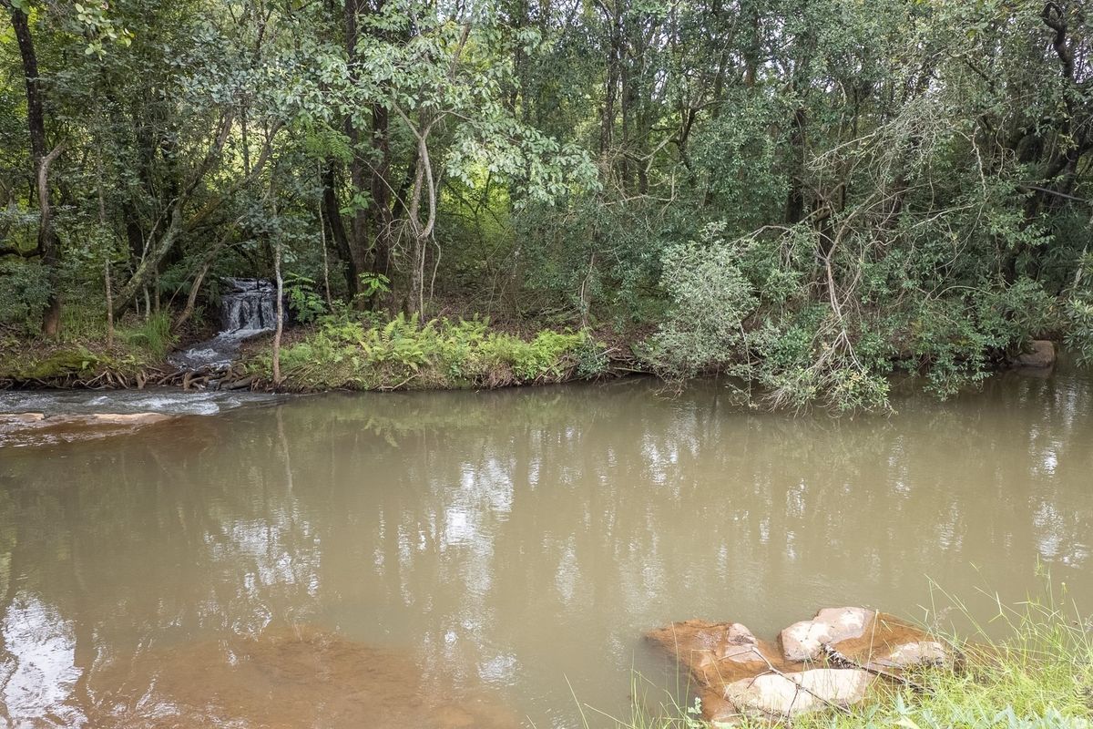 A serene view of a natural stream flowing through a lush, indigenous forest setting on the property.