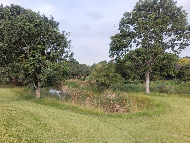 INVESTMENT or PERMANENT RESIDENCE - NO TRANSFER DUTY - Photo 9