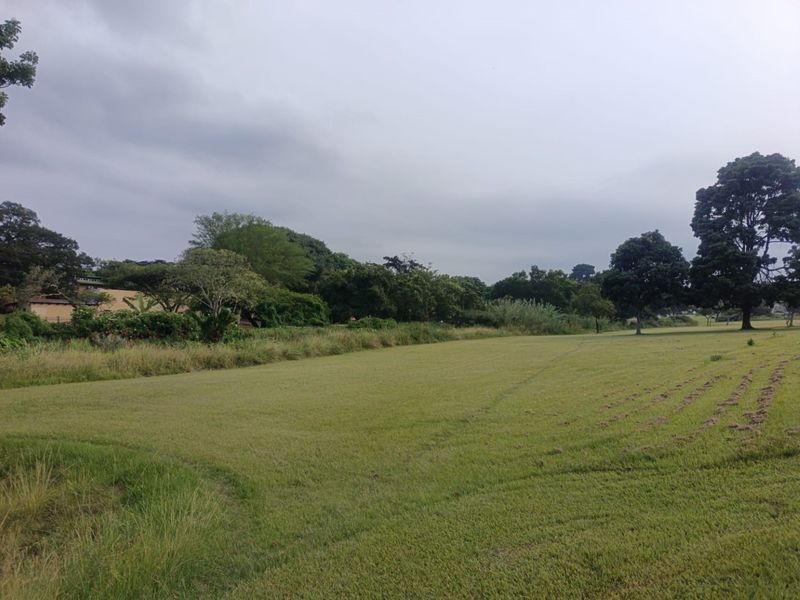 INVESTMENT or PERMANENT RESIDENCE - NO TRANSFER DUTY - Photo 8