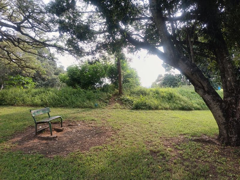 INVESTMENT or PERMANENT RESIDENCE - NO TRANSFER DUTY - Photo 7