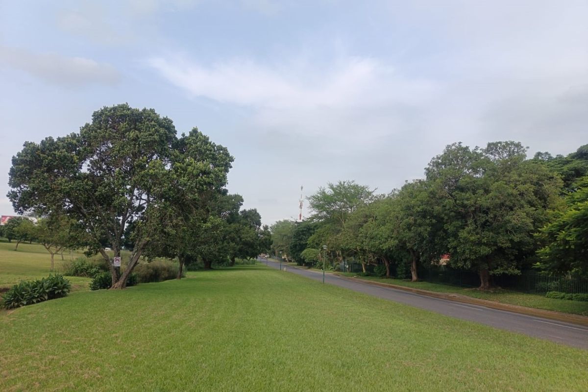 INVESTMENT or PERMANENT RESIDENCE - NO TRANSFER DUTY - Photo 5