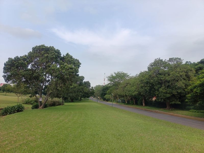 INVESTMENT or PERMANENT RESIDENCE - NO TRANSFER DUTY - Photo 5