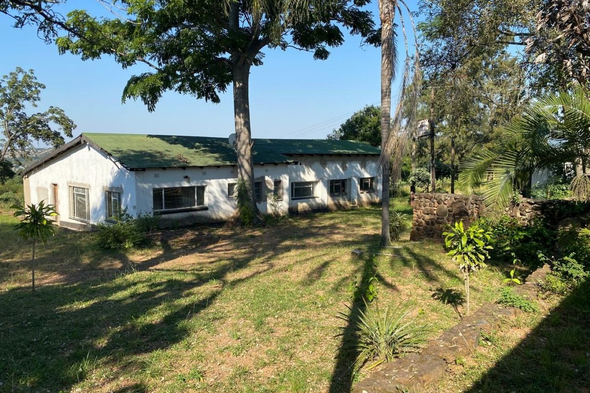 Rear view of a single-story dwelling on a small holding, featuring a metal roof and established garden surroundings.