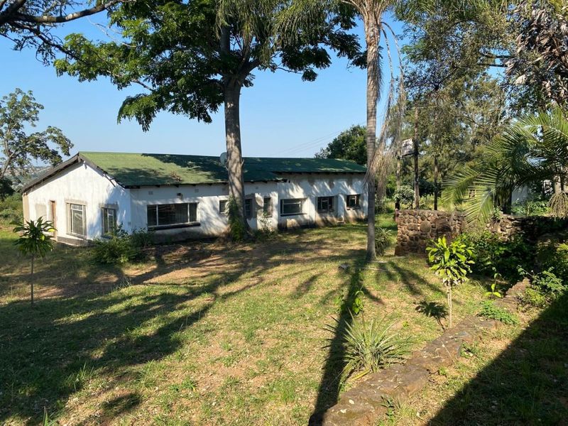Rear view of a single-story dwelling on a small holding, featuring a metal roof and established garden surroundings.