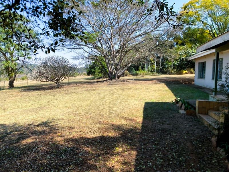 A spacious garden area featuring mature trees and a view of the property's exterior side elevation and patio steps.