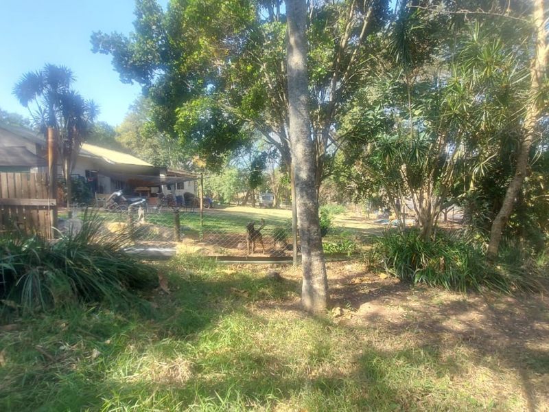 A view of the property garden featuring mature trees and established perimeter fencing on a small holding.