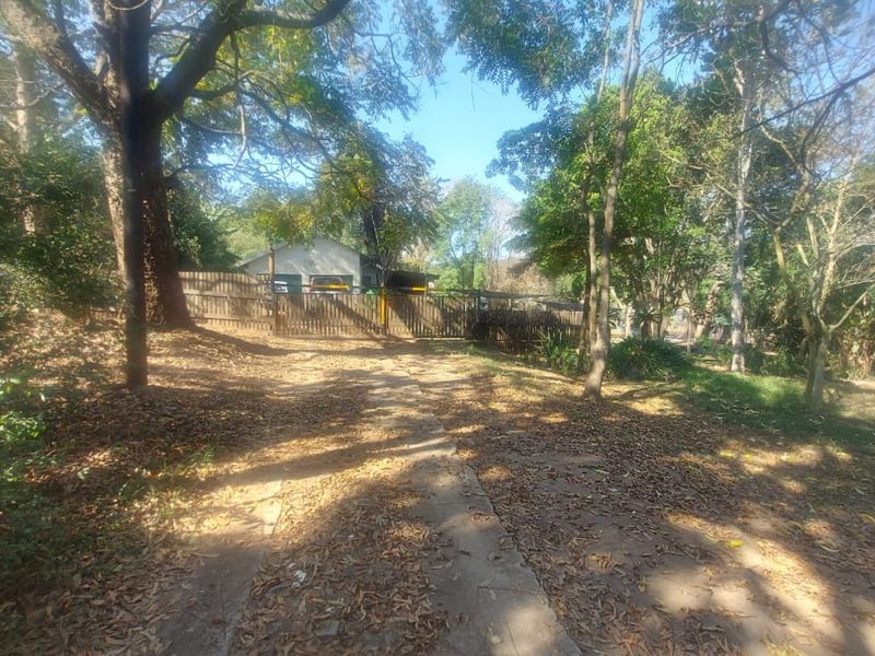 A view of the property entrance featuring a concrete driveway, mature trees, and wooden perimeter fencing on a small holding.