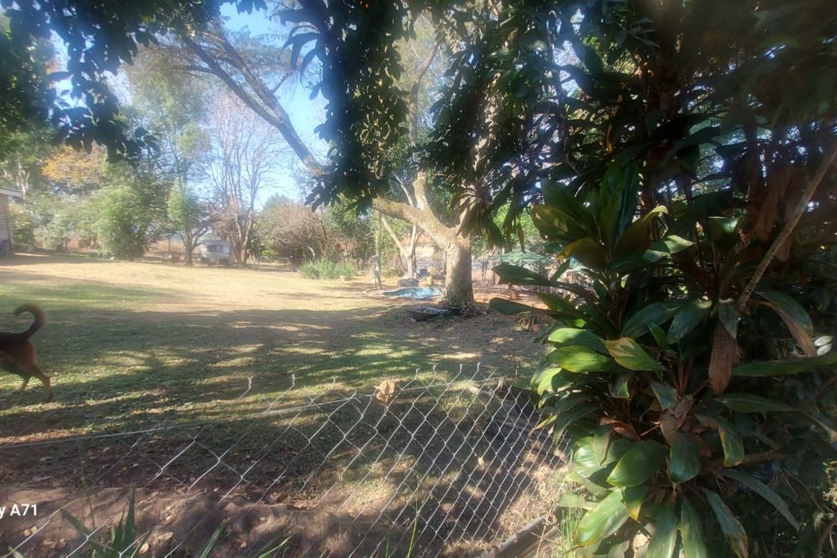 A view of the property's garden area featuring mature trees, lawn, and wire mesh perimeter fencing.