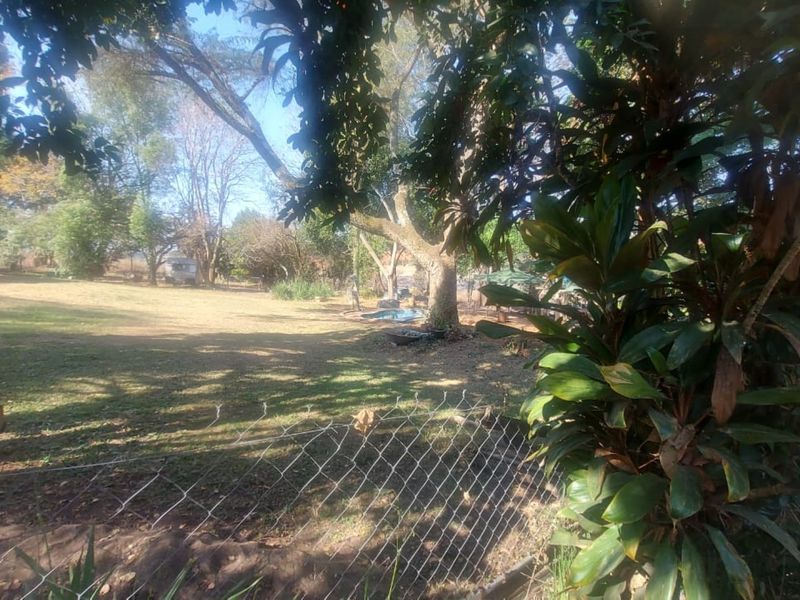 A view of the property's garden area featuring mature trees, lawn, and wire mesh perimeter fencing.