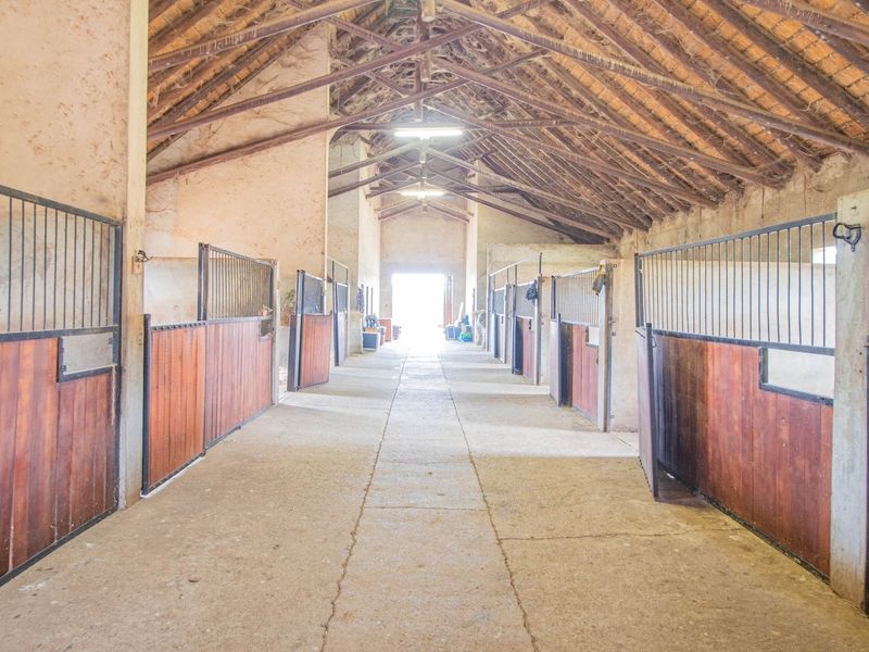 A spacious stable facility featuring multiple stalls, exposed timber roof trusses, and durable concrete flooring, suitable for equestrian use on a small holding.